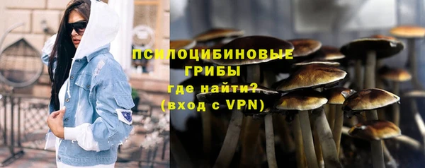 гашик Абаза