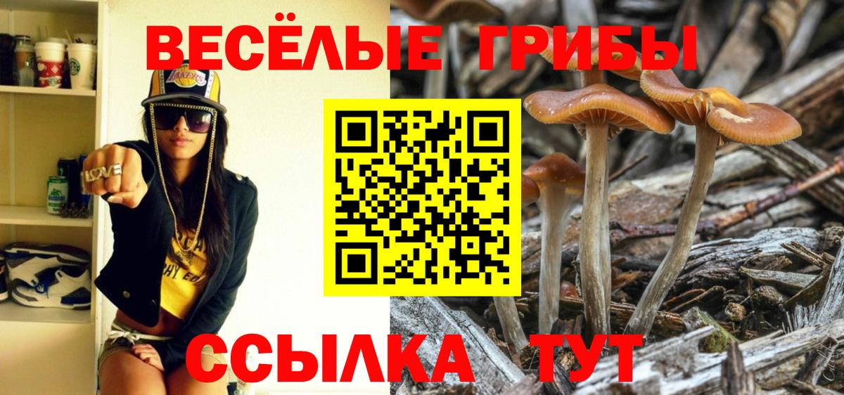 Псилоцибиновые грибы прущие грибы  Вход с VPN  Галлюциногенные грибы Cubensis  Ростов-на-Дону 
